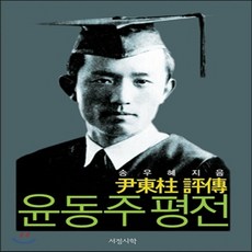 윤동주달을쏘다