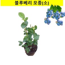 aee91e90bc740ecb27604728b2b2b8fb405586bb624178be4cd49f45c2fa.jpg
