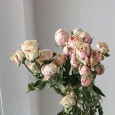 427da79becb0c7180c344f057e6341bff3d76f223af8f1583268dce73034.jpg