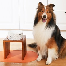  대형견 강아지 밥그릇 고양이 식기 애견 물그릇 대형견 수반 원목 식탁, 멀바우식탁2구 대형, 23cm, 마블 