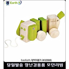 퍼피걸음마