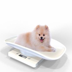 아기 고양이 강아지 저울 체중계(소형) 애견 고양이 애완견 반려동물 캣 펫 반려견 전자, 단일상품(JCK6105)