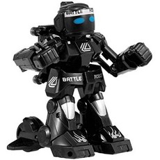 휴머노이드로봇