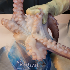 제일농수산 생물문어 참문어 피문어 대왕문어 포항문어 문어 해수산소포장, 1마리, 생물4kg
