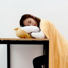 웰시코기담요