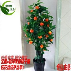 ff8db261ece2d01678995082584379936d0036587345842be476ec287673.jpeg