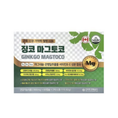 징코 마그토코 마그네슘/은행잎추출물/비타민B.E 120캡슐, 120정, 1개