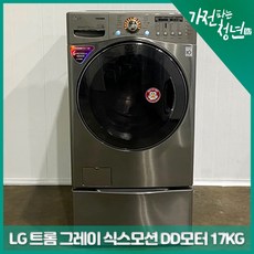 lg드럼세탁기17kg