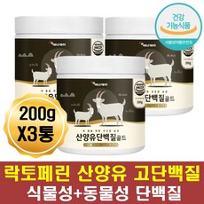 비만운동인슐린