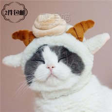 어반30 반려동물 필수템 강아지 고양이 모자 모카야옹애완동물모자고양이양독양편 꼬깔모자 변신, 페도라