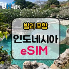 eSIM 인도네시아 이심 데이터 무제한 e심 XL 텔콤셀 핫스팟 발리이심, 7일, 매일 2GB, 데일리플랜