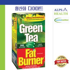 원데이팻버너