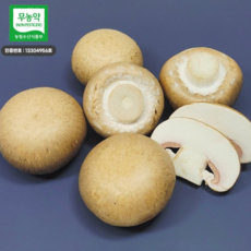 국내산 친환경 무농약 브라운 양송이 버섯 특정품 못난이 1kg, 1개, 1kg(정품 탁구공 사이즈)