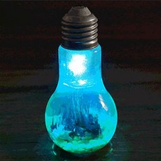 화학정원만들기