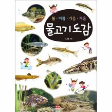 물고기백과