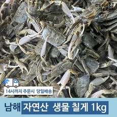 남해 자연산 생물 칠게 산지직송, 1개, 1kg