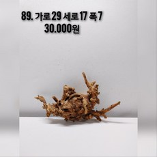 모파니 투톤유목 테라리움유목 비바리움유목 대형유목 파충류 은신처 수초활착유목 새우 먹이 새우은신처 어항 레이아웃 목부작 어항꾸미기 솟대 횃대, 1개