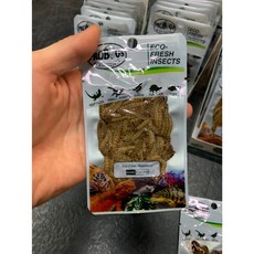 파충류 먹이 프로벅스 밀웜 20g - 더쥬