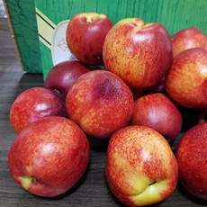 2025년 경북 경산 신선 신비 천도복숭아 1kg 2kg 당일수확 산지직송, 1박스, 2kg(소과/32과내외), 신선복숭아