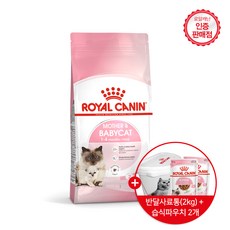 로얄캐닌 고양이사료 베이비캣 건식 4kg 면역력강화도움 / 사은품 2kg 사료통 + 습식파우치 2개 증정