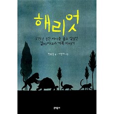 해리엇(보름달문고45)