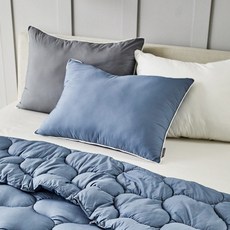 [모던하우스] 스웰 익스트림 구스다운필 볼륨 베개솜 네이비 50X70, 1개