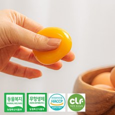 egg가격