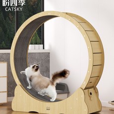 캣힐