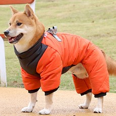 멍템 강아지 올인원 패딩, 오렌지