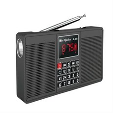 ( us) EONKO 다기능 스테레오 라디오 L-528 블루투스 AM FM TF USB 핸즈프리 AUX 레코더 손전등 시계 알람, 04 gray L-528