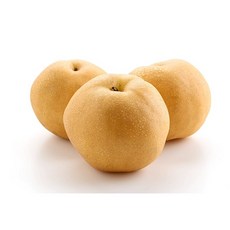 원황배15kg