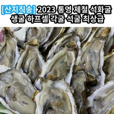 추천10 최상급통영세척