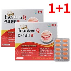 캐나다 직수입 인사 덴티큐, 120정, 2박스