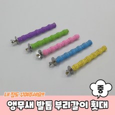 기타 앵무새발톱부리갈이횟대중, 1개
