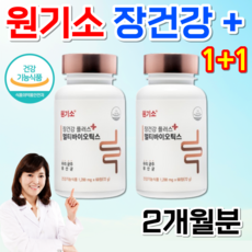 옛날 원기소 플러스 원기소정 장건강 한국산 멀티 프로 바이오틱스 신바이오 스틱 미야리산 낙산균 생유산균 유산균 알약 곡물효소 원플원 2개