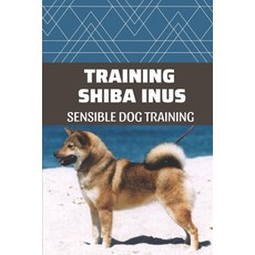 이누스바스잉글리쉬