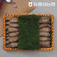 농협횡성한우 [농협횡성한우] 강원도 더덕선물세트 1kg, 1개
