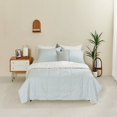 알레르망인견q TOP01