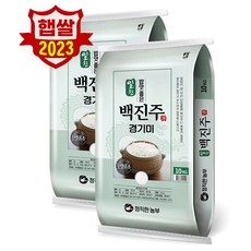 23년산 햅쌀 정직한농부 백진주 쌀20kg (10kgx2) 안전박스포장, 2개