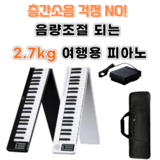 BURY 88건반 접이식피아노 휴대용 전자 디지털 키보드 포터블 입문용, 88건반-라이트, 블랙