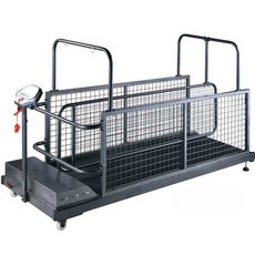 강아지런닝머신 애견 재활 러닝머신 반려견 다이어트