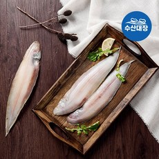 박대장