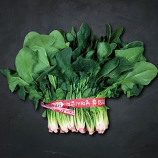 남해 노지 해풍맞은 시금치, 300g, 1개