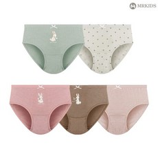 엠알키즈 여아용 데이지 무형광 순면 삼각팬티 5종 세트 알키즈 여아용 데이지 무형광 순면 삼각팬티 5종 세트