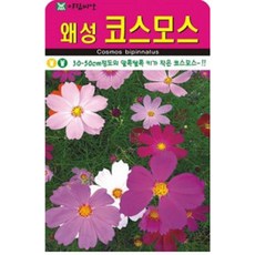 키가 작은 왜성 코스모스 씨앗(2000립)(A0621)