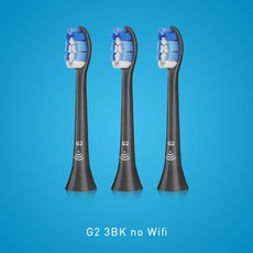 필립스칫솔모g2
