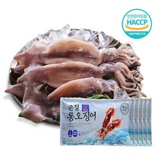 [자연산] 손질 통오징어 대사이즈 130g 10마리20마리 냉동오징어, 10팩(20마리)