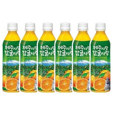 롯데칠성음료 제주감귤 500ml, 6개