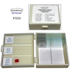 현미경프레파라트