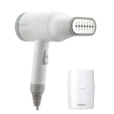 미켈란젤로스팀다리미